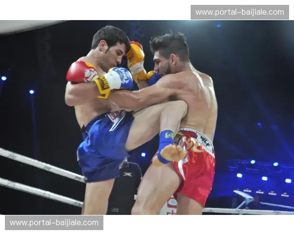 铁拳与金钟罩的宿命交锋：播求与一龙的恩怨十年，谁才是真正的擂台王者？