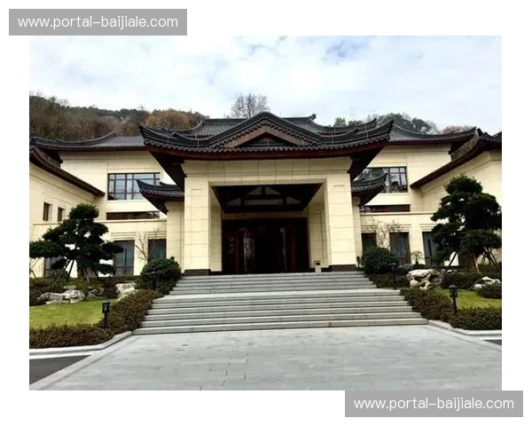 2008：潘帕斯雄鹰与桑巴王者的激情碰撞——一场永载史册的巅峰对决